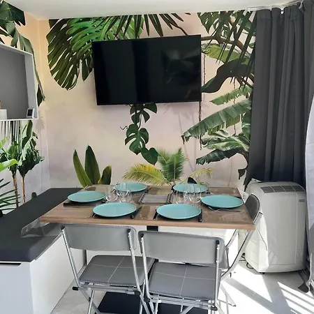 Cap D'agde T2 6 Couchages Agde